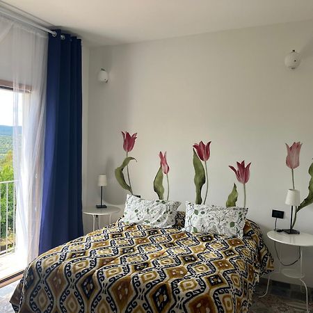 فيستَ B&B Le Cicale المظهر الخارجي الصورة