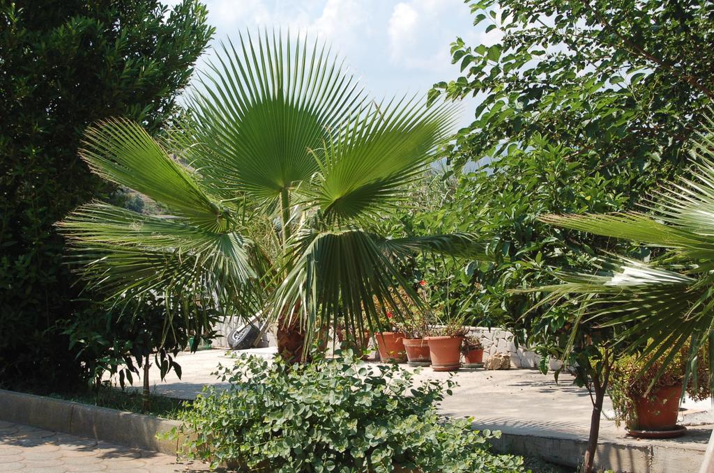 فيستَ B&B Le Cicale المظهر الخارجي الصورة