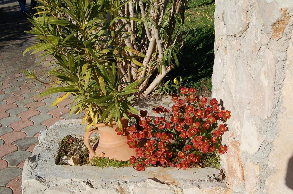 فيستَ B&B Le Cicale المظهر الخارجي الصورة
