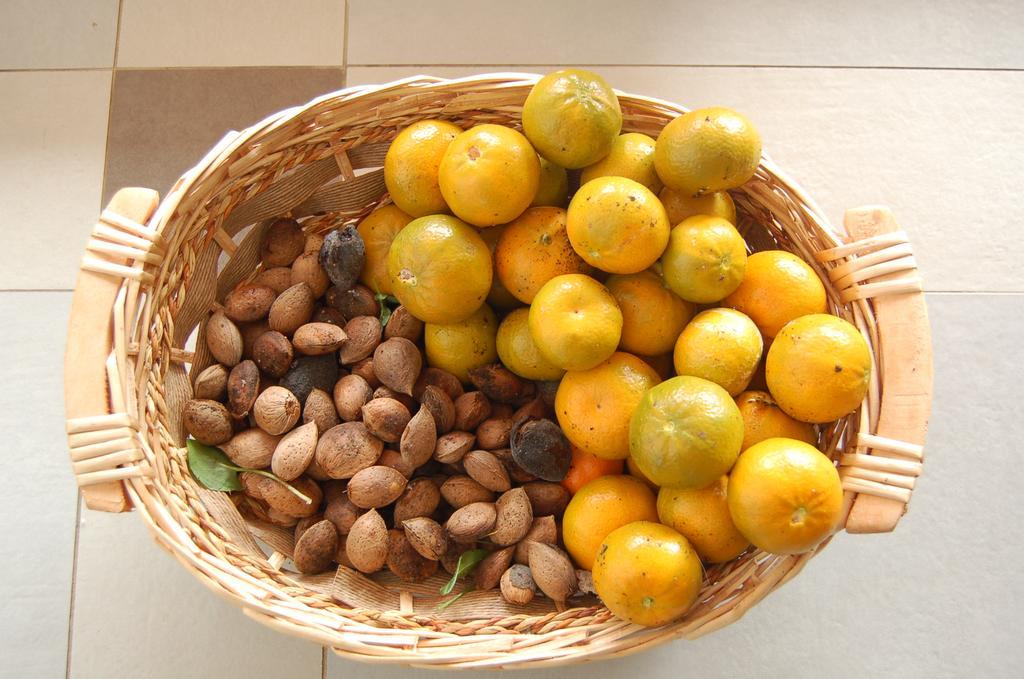 فيستَ B&B Le Cicale المظهر الخارجي الصورة